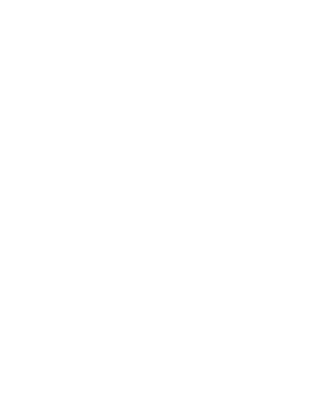 Pre-Purchase Car Inspections